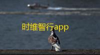 时维智行app
